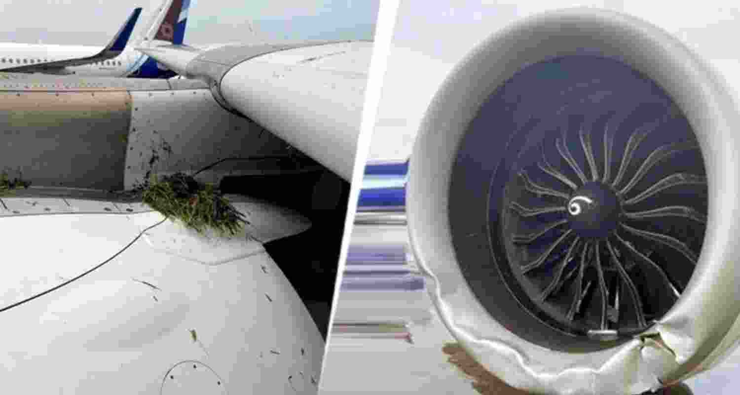 The airline confirmed that the aircraft has been grounded for detailed checks. The airline confirmed that the aircraft has been grounded for detailed checks.