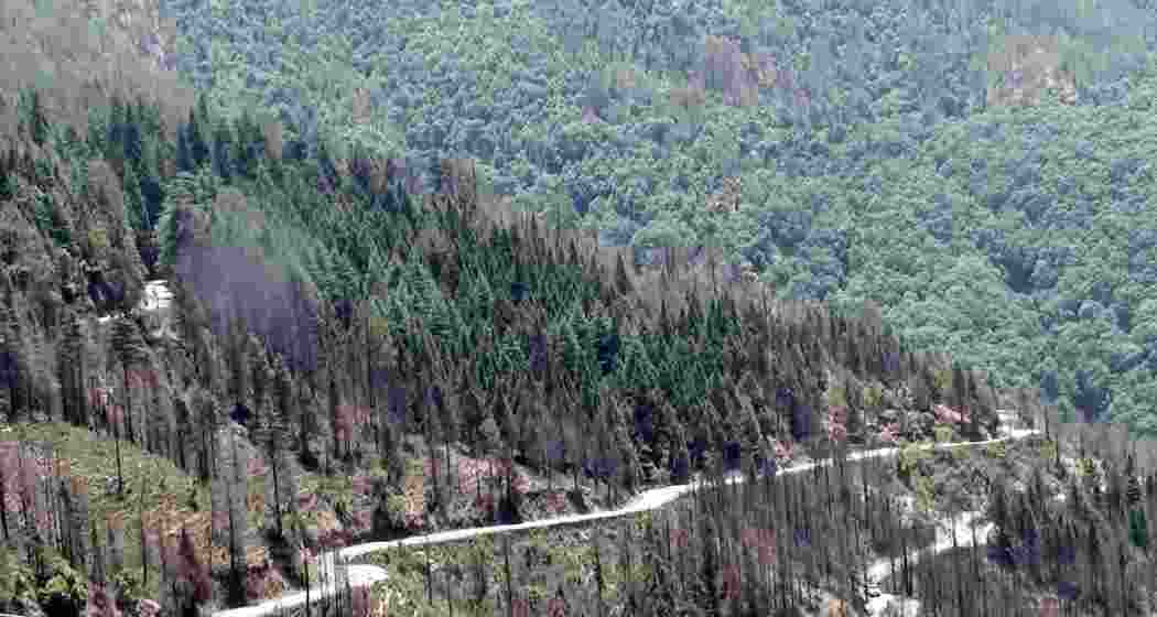 A representative image. A representative image.