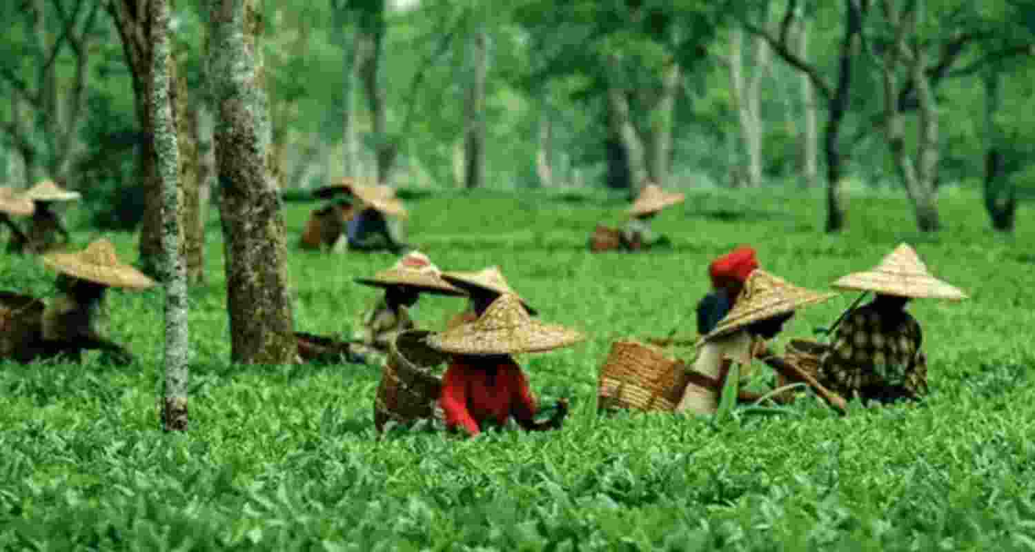 Representative Image Representative Image