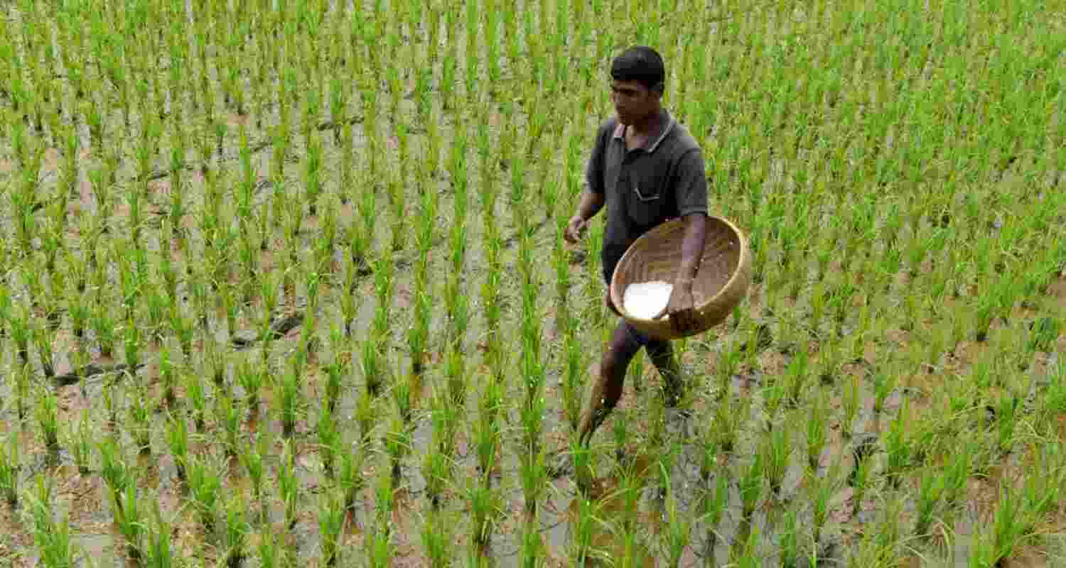 Consuming close to 70 million tonnes of fertiliser annually, India imported 14.45 million tonnes during April-October, up nearly 69 per cent from 8.56 million tonnes a year earlier, said FAI in its statement Consuming close to 70 million tonnes of fertiliser annually, India imported 14.45 million tonnes during April-October, up nearly 69 per cent from 8.56 million tonnes a year earlier, said FAI in its statement