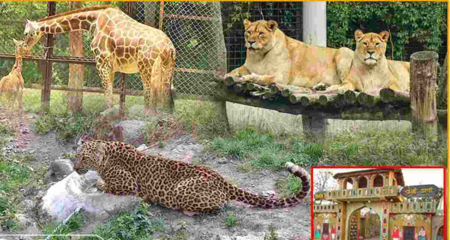 Himachal to get ‘Kangra Village’ near Vankhandi Zoo.
Himachal to get ‘Kangra Village’ near Vankhandi Zoo.