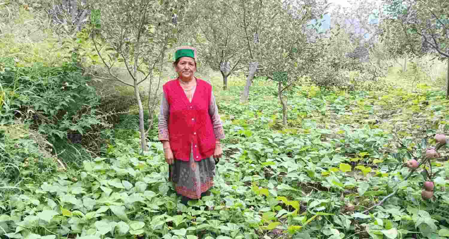 Chhering Lamo poses for a picture along with her organic crops. Chhering Lamo poses for a picture along with her organic crops.