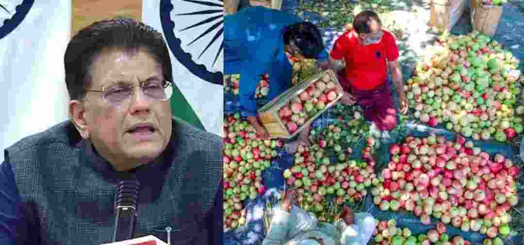 Indo-US trade pact: Apple-growers fear economic loss, says PDP Indo-US trade pact: Apple-growers fear economic loss, says PDP
