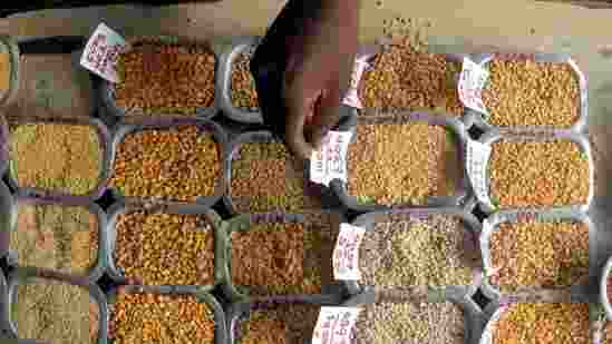 Govt promote pulses production in tribal, naxal-hit areas Govt promote pulses production in tribal, naxal-hit areas