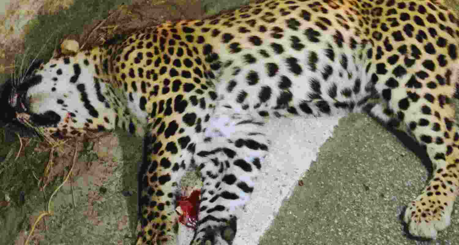 Representative Image. Representative Image.