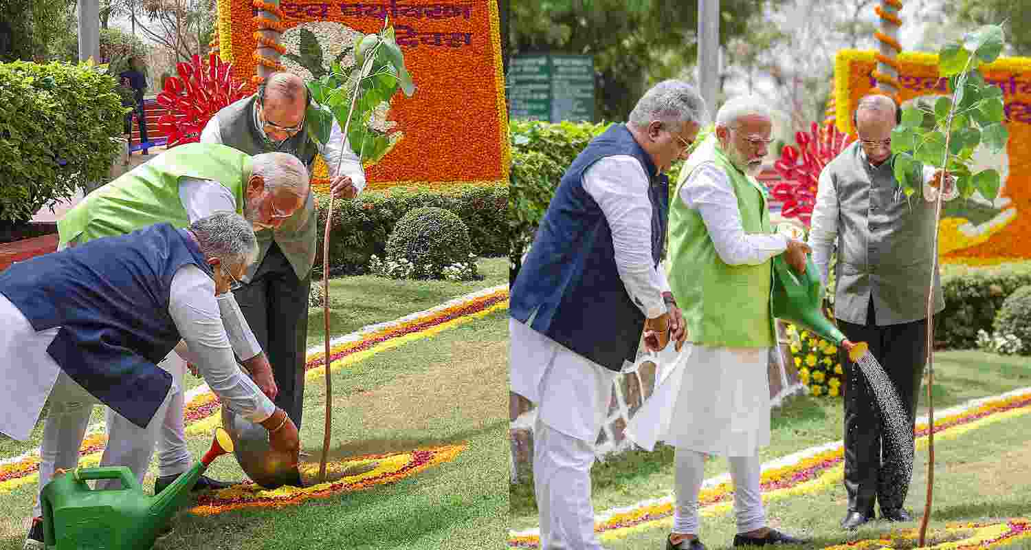Prime Minister Narendra Modi plants a tree on the occasion of Wold Environment Day, at Buddha Jayanti Park, in New Delhi, Wednesday, June 5, 2024. Prime Minister Narendra Modi plants a tree on the occasion of Wold Environment Day, at Buddha Jayanti Park, in New Delhi, Wednesday, June 5, 2024.
