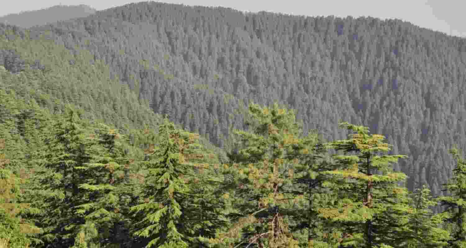 Representational image. Representational image.