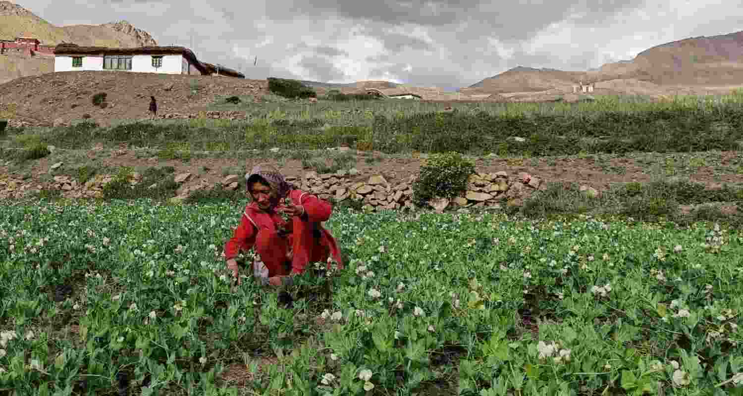 Representative image. Representative image.