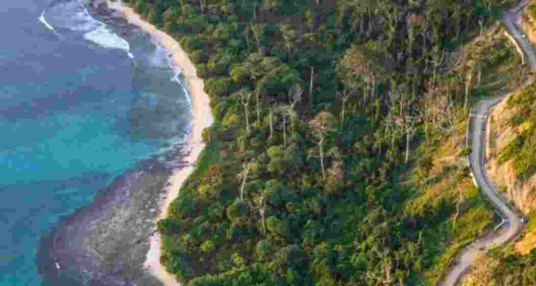A stretch of road cutting through the coastal belt of Great Nicobar Island. A stretch of road cutting through the coastal belt of Great Nicobar Island.