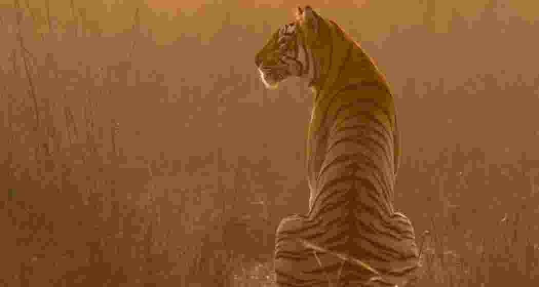 Representative Image. Representative Image.