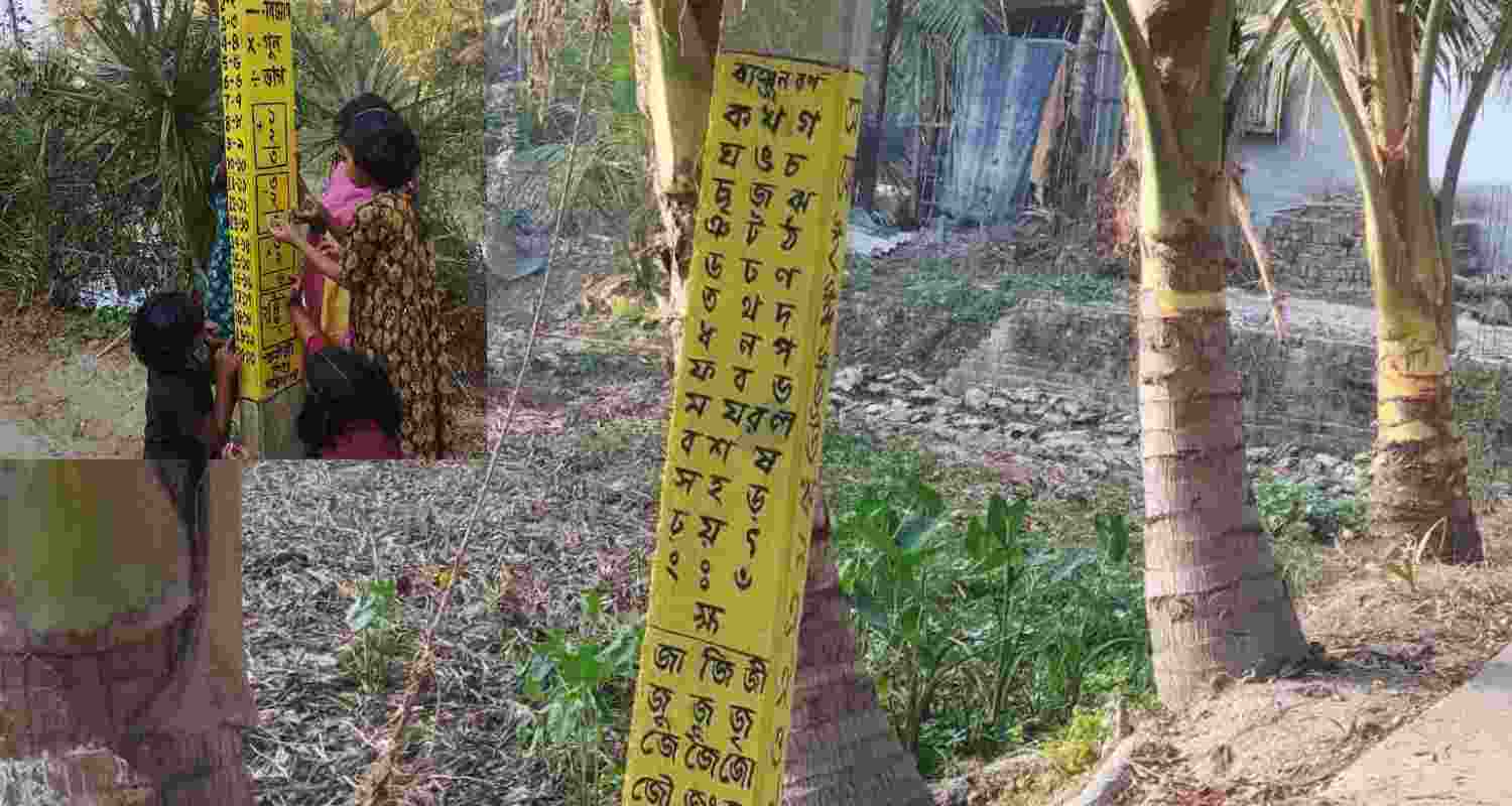 A Sundarbans village in West Bengal turns roadside electric poles into an open-air classroom with alphabets and numbers, inspired by Vidyasagar’s Barna Parichoy. A Sundarbans village in West Bengal turns roadside electric poles into an open-air classroom with alphabets and numbers, inspired by Vidyasagar’s Barna Parichoy.