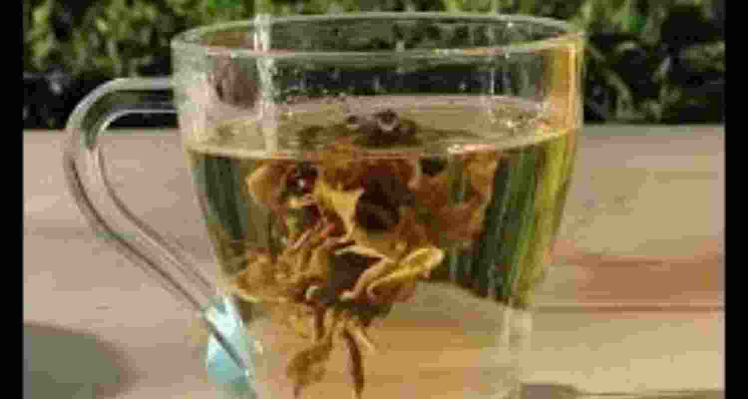 Woolah's bagless tea wins 20-year patent for innovative design Woolah's bagless tea wins 20-year patent for innovative design