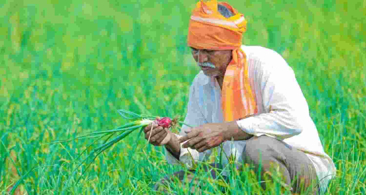 Representational Image. Representational Image.