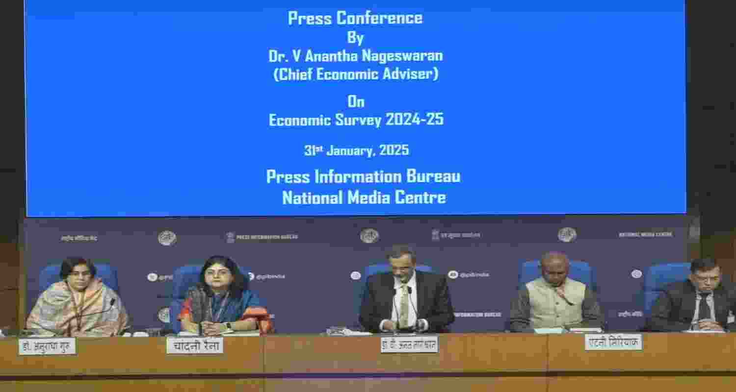 Excessive financialisation can hurt the economy: Eco Survey Excessive financialisation can hurt the economy: Eco Survey