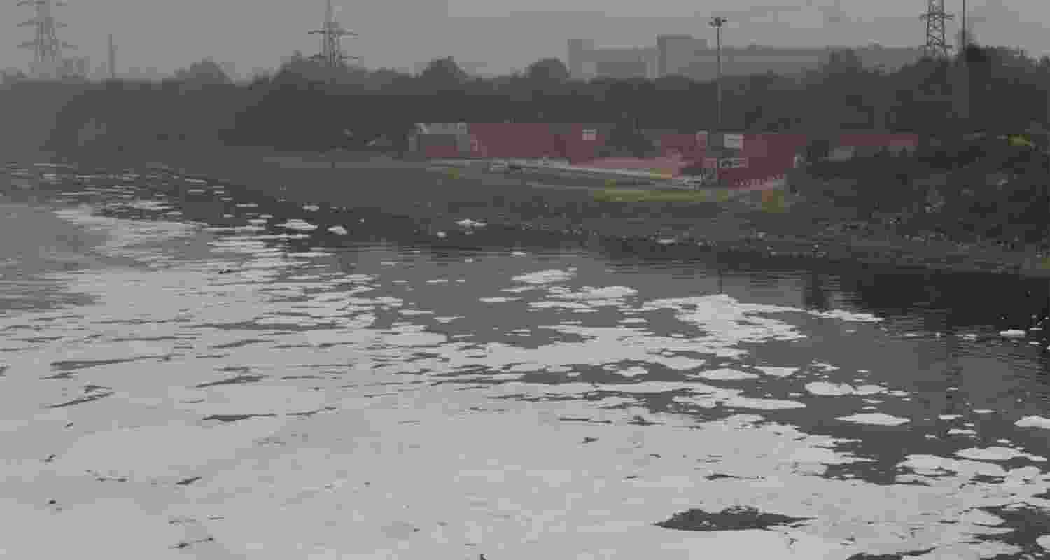 A polluted stretch of Yamuna river. A polluted stretch of Yamuna river.